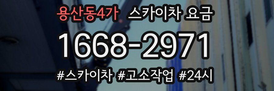 용산동4가 스카이차 요금