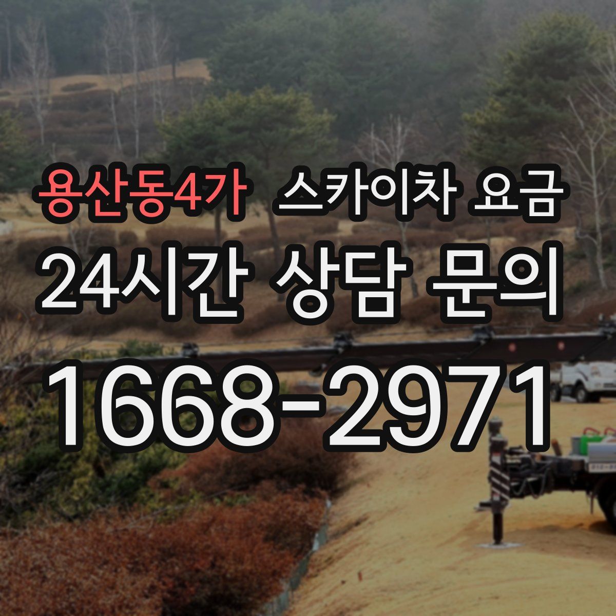 용산동4가 스카이차 요금