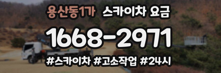 용산동1가 스카이차 요금