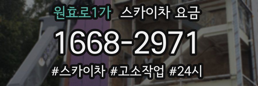 원효로1가 스카이차 요금