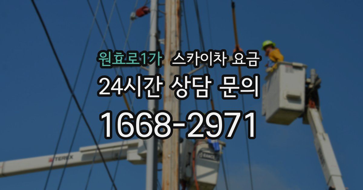 원효로1가 스카이차 요금