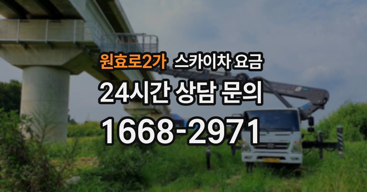 원효로2가 스카이차 요금