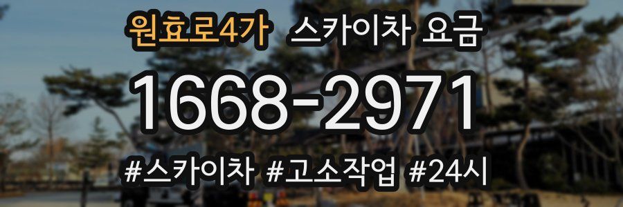 원효로4가 스카이차 요금