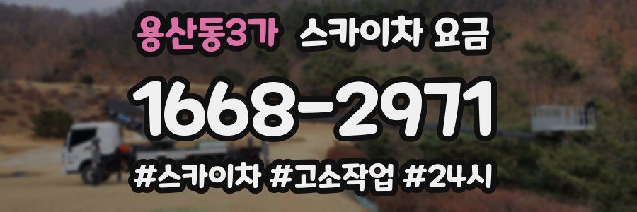 용산동3가 스카이차 요금