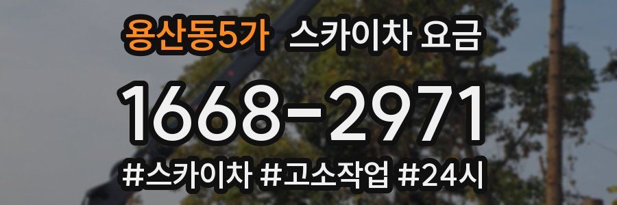 용산동5가 스카이차 요금