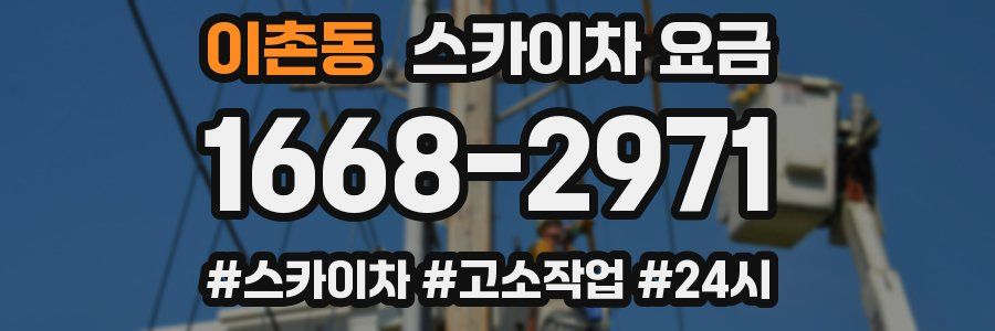 이촌동 스카이차 요금