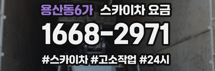 용산동6가 스카이차 요금