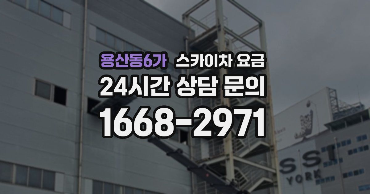 용산동6가 스카이차 요금