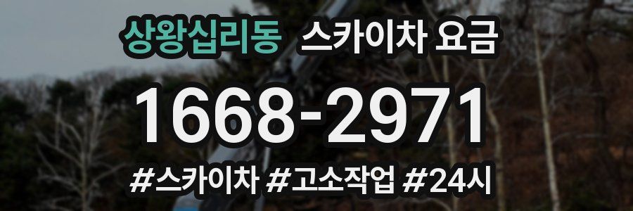 상왕십리동 스카이차 요금