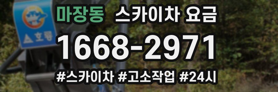 마장동 스카이차 요금