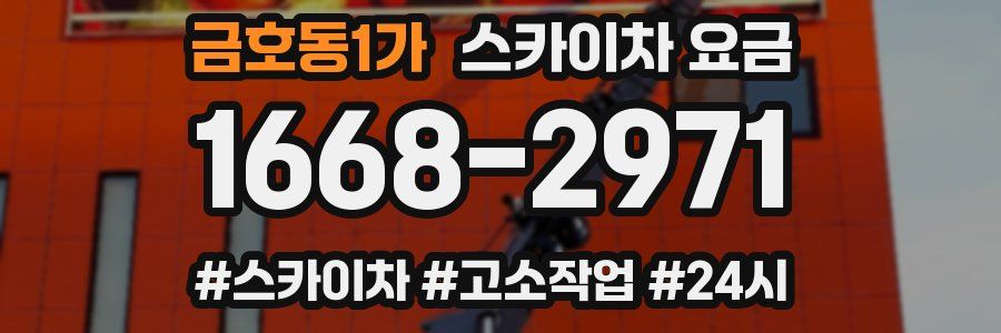 금호동1가 스카이차 요금