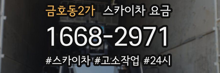 금호동2가 스카이차 요금