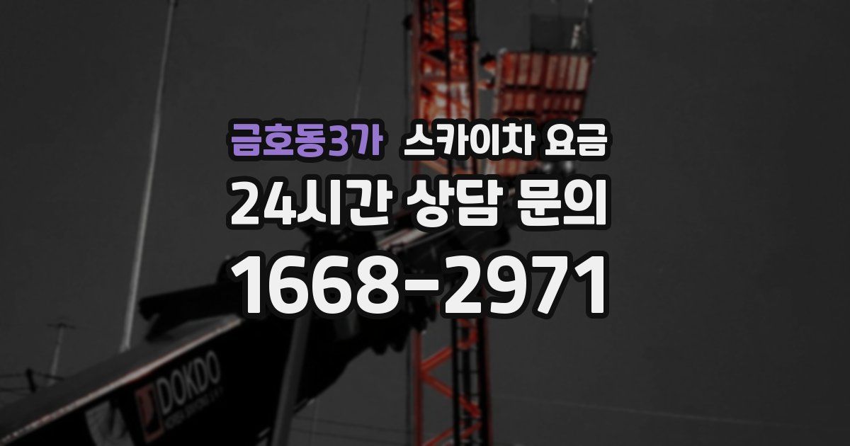 금호동3가 스카이차 요금