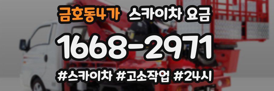 금호동4가 스카이차 요금