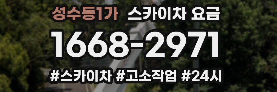 성수동1가 스카이차 요금