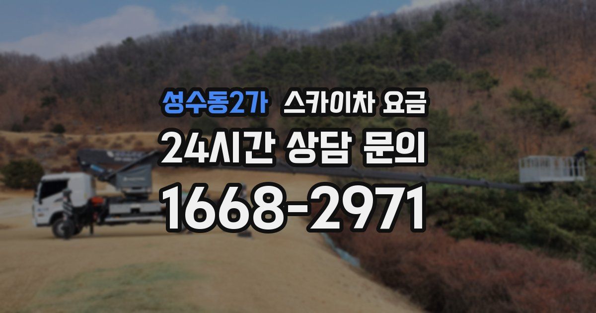 성수동2가 스카이차 요금