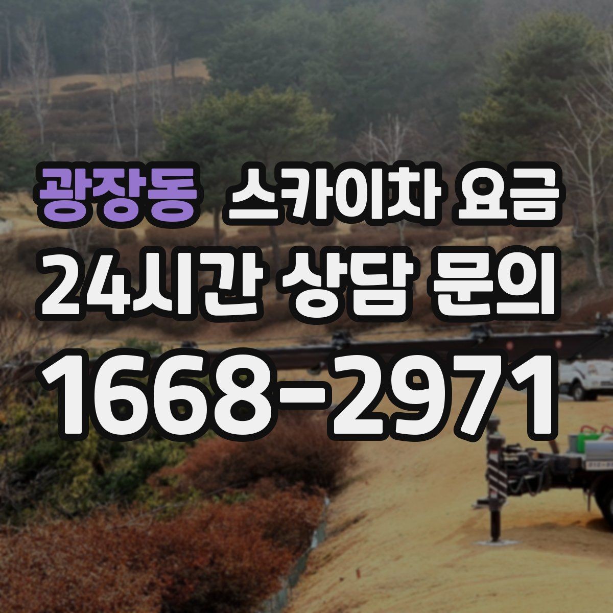 광장동 스카이차 요금 문의 전에 정리하면 좋은 정보 리스트