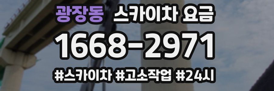 광장동 스카이차 요금