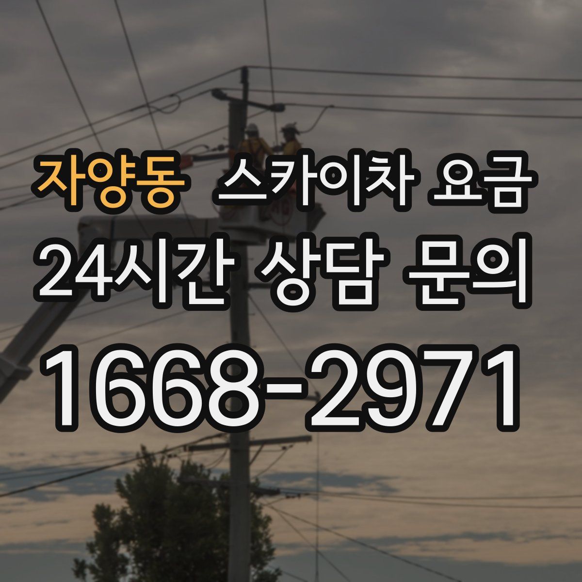 자양동 스카이차 요금