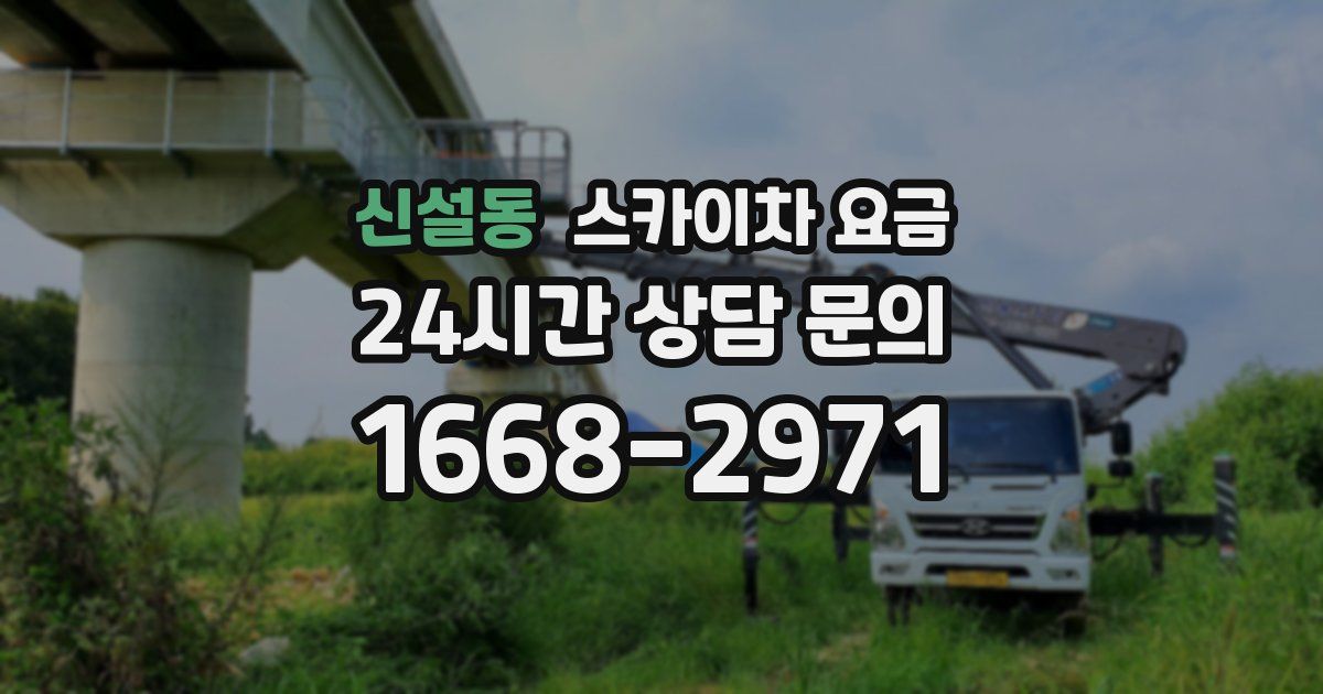 신설동 스카이차 요금