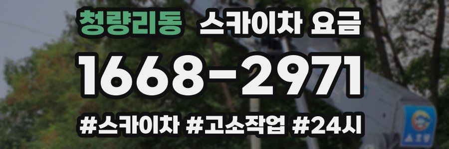 청량리동 스카이차 요금