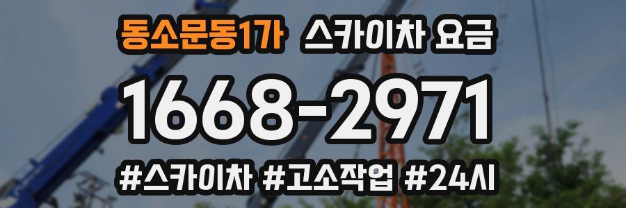 동소문동1가 스카이차 요금