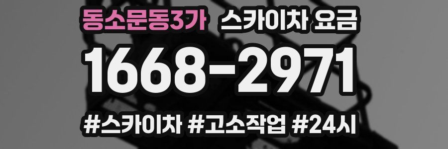 동소문동3가 스카이차 요금