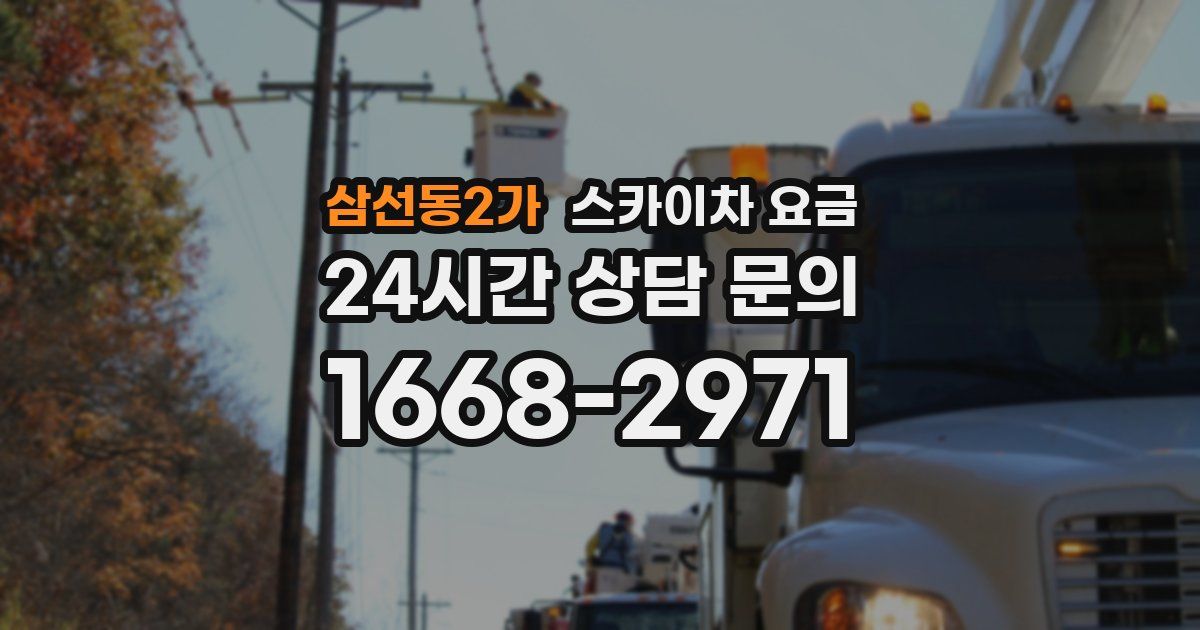 삼선동2가 스카이차 요금