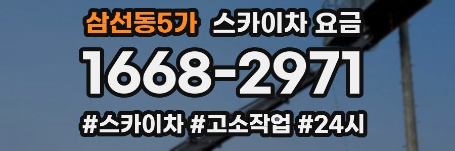 삼선동5가 스카이차 요금