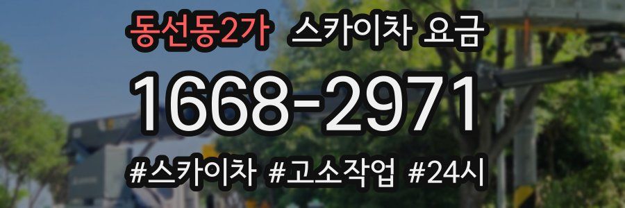 동선동2가 스카이차 요금
