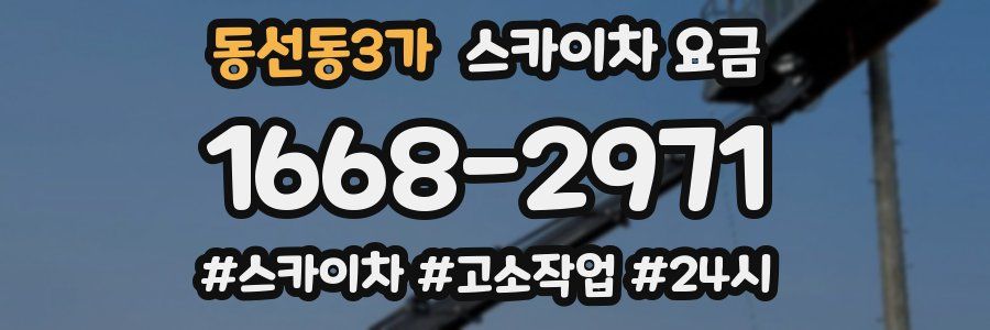 동선동3가 스카이차 요금