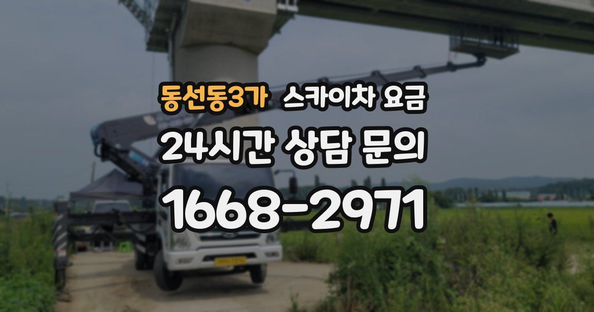 동선동3가 스카이차 요금