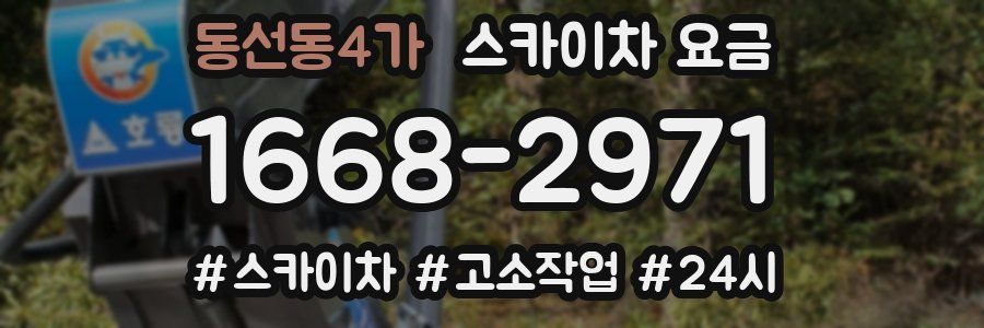 동선동4가 스카이차 요금