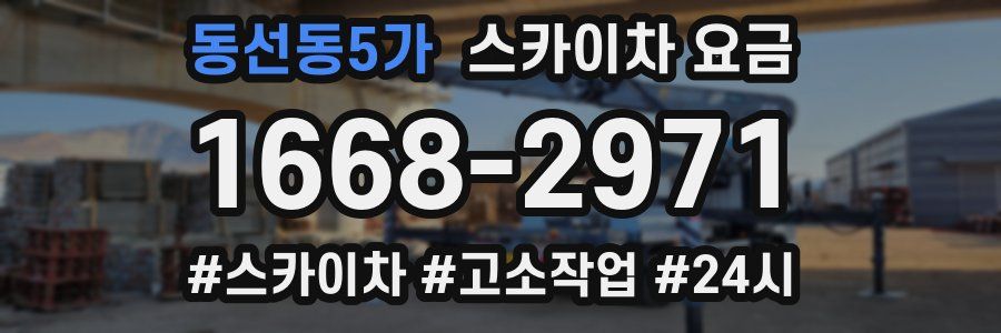 동선동5가 스카이차 요금