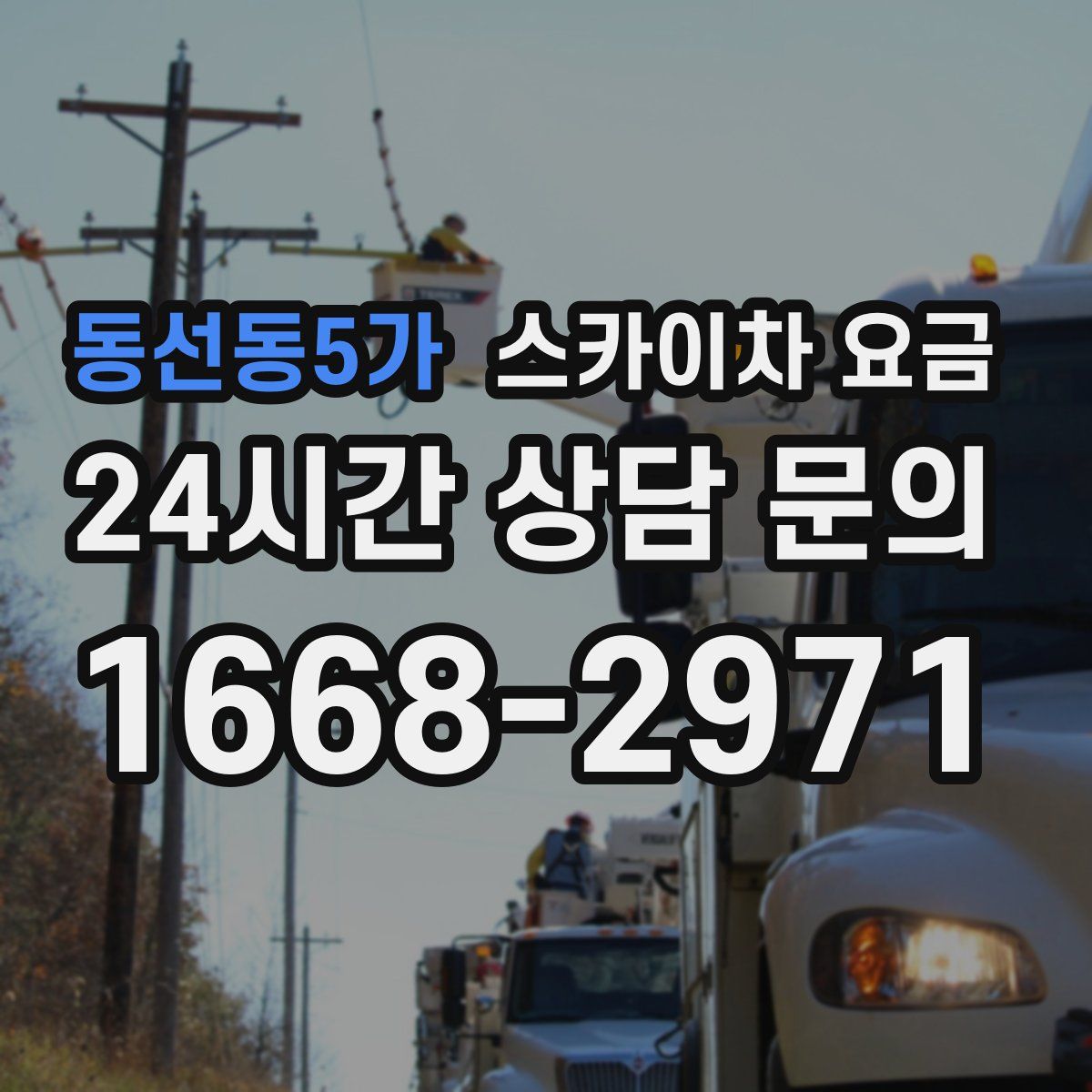 동선동5가 스카이차 요금