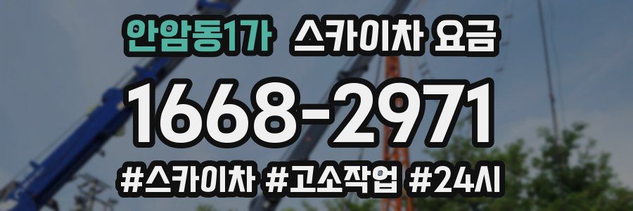 안암동1가 스카이차 요금