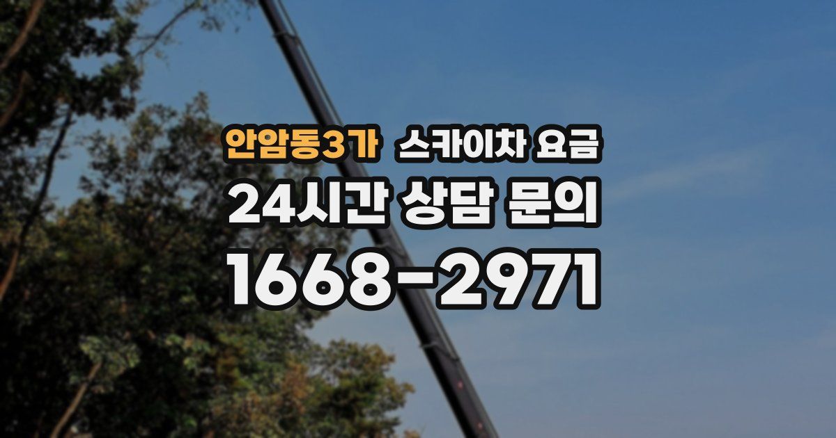 안암동3가 스카이차 요금