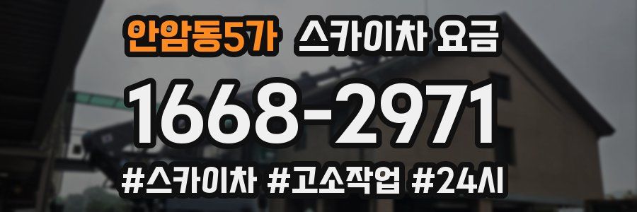 안암동5가 스카이차 요금