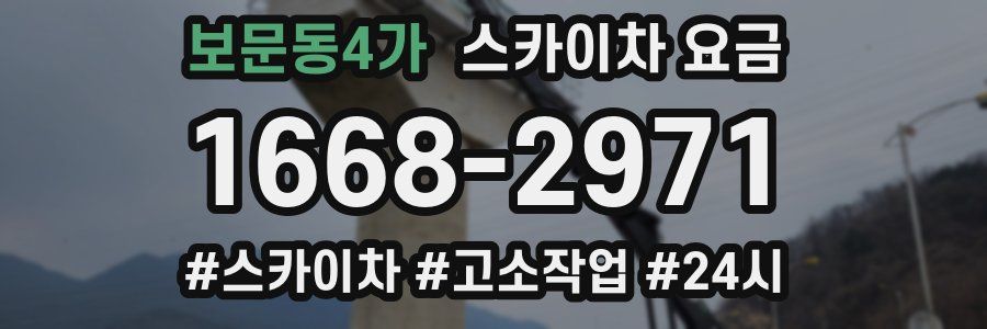 보문동4가 스카이차 요금
