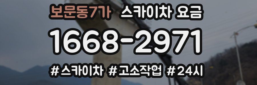 보문동7가 스카이차 요금