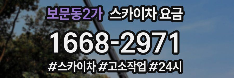 보문동2가 스카이차 요금