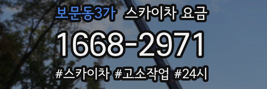 보문동3가 스카이차 요금