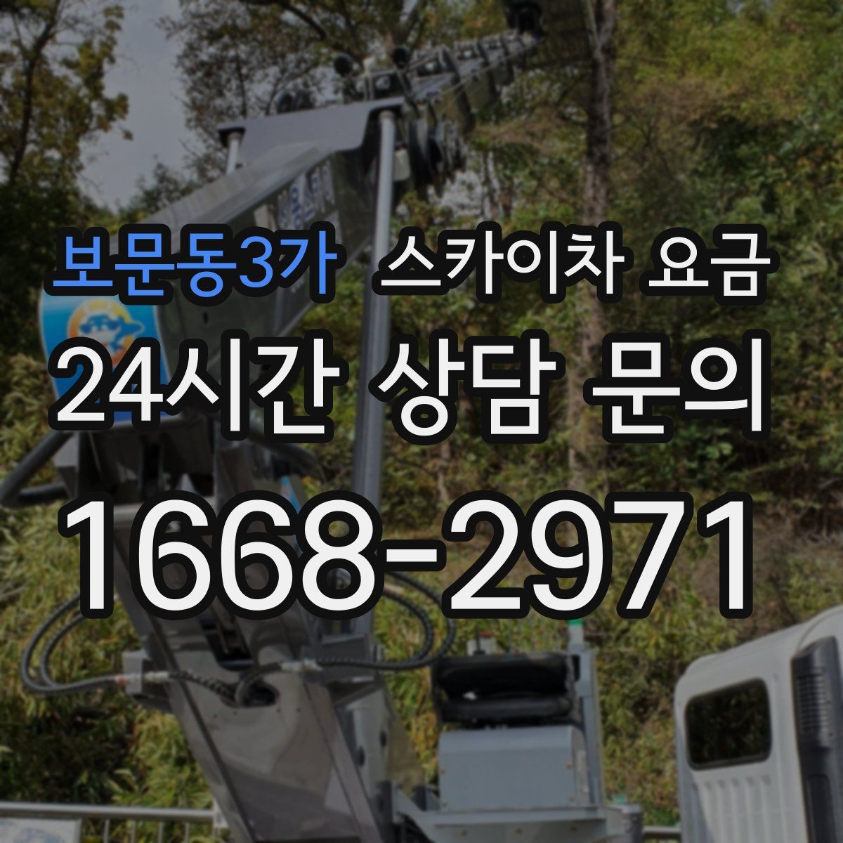 보문동3가 스카이차 요금