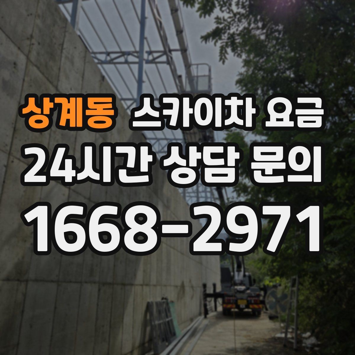 상계동 스카이차 요금 수목 전정 작업에서 확인할 항목