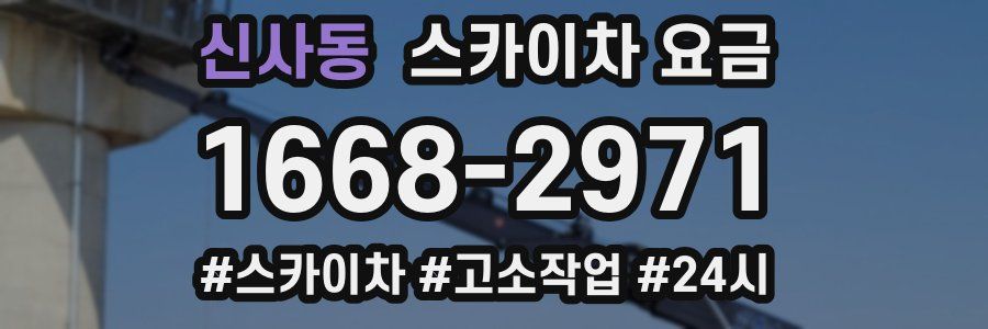 신사동 스카이차 요금