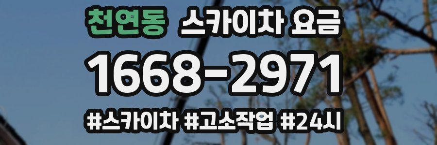 천연동 스카이차 요금