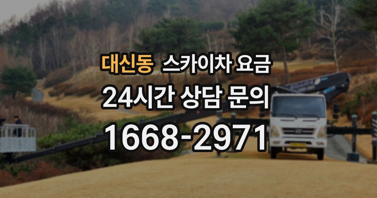 대신동 스카이차 요금