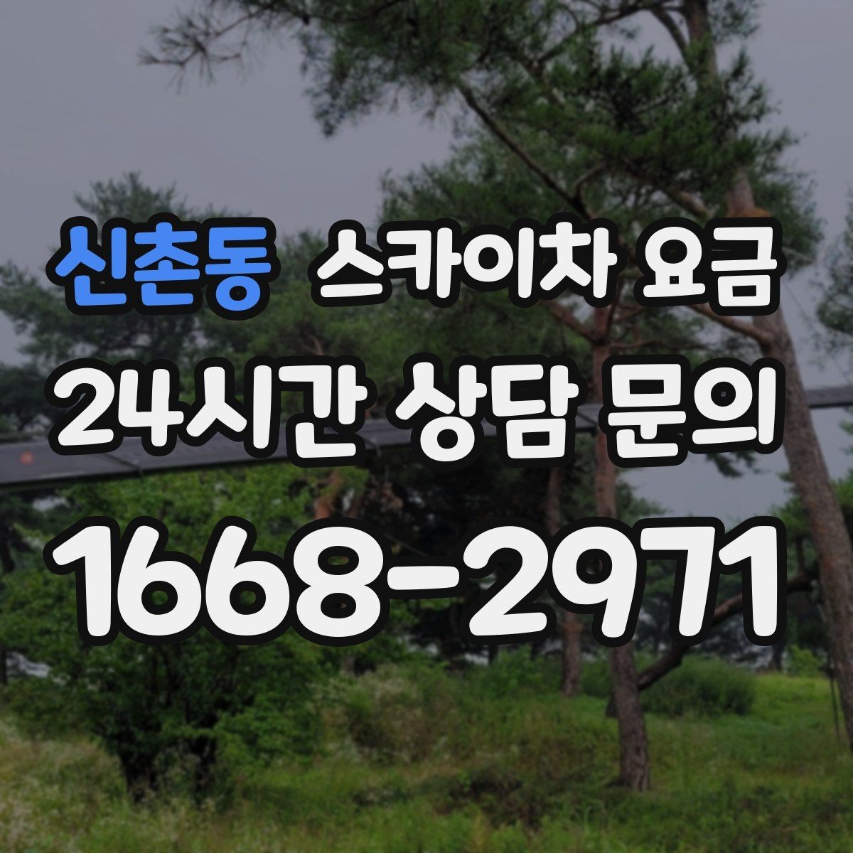 신촌동 스카이차 요금 한 번에 정확히 안내받는 문의 템플릿