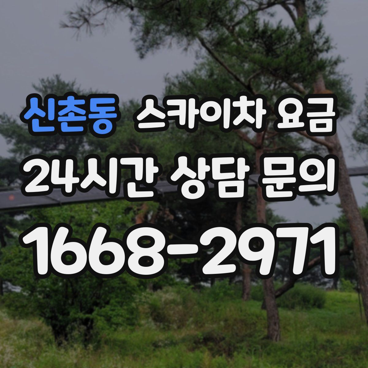 신촌동 스카이차 요금