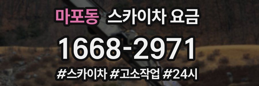 마포동 스카이차 요금